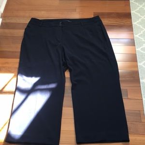 Alfani Woman 24wp navy pant